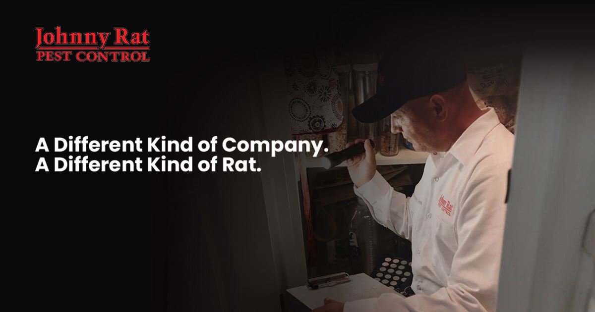 Granada Hills Pest Control Johnny Rat Pest Control