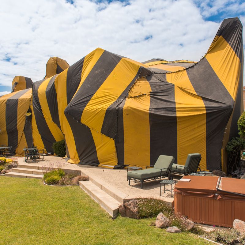 Commercial Pest Control